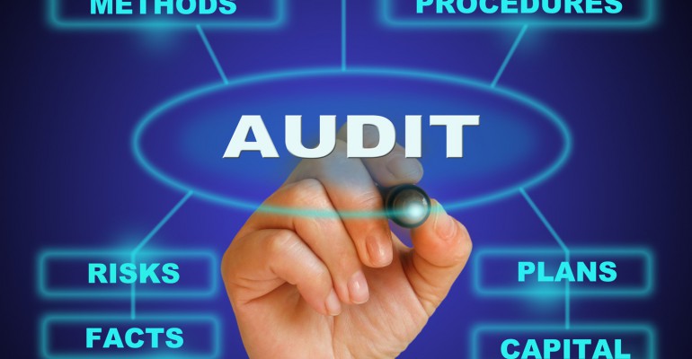 Project Audit and Evaluation